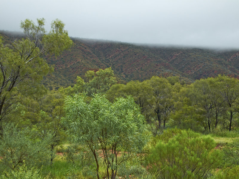 Mereeni Loop Road